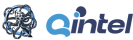 Qintel